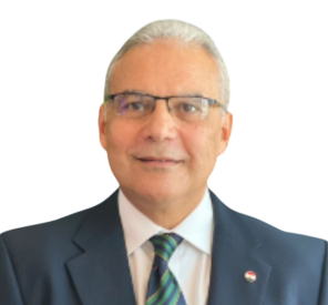Prof. Mohamad Hassanein