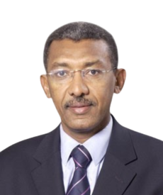 Prof. Salah Gariballa