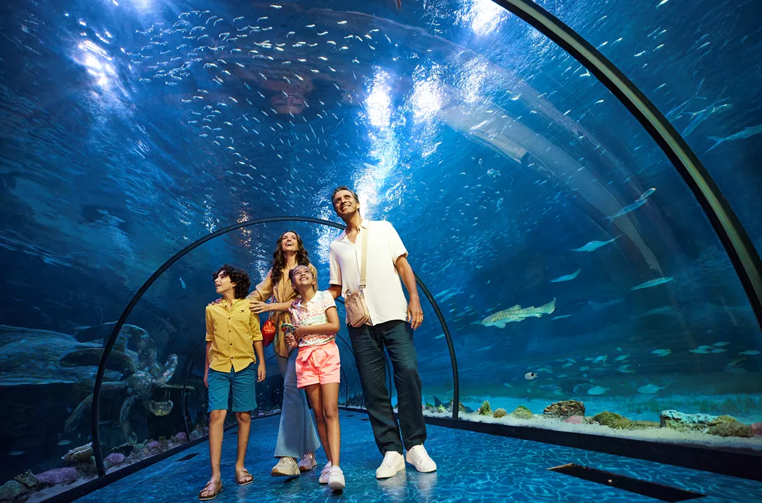 Find Your Pace in Abu Dhabi